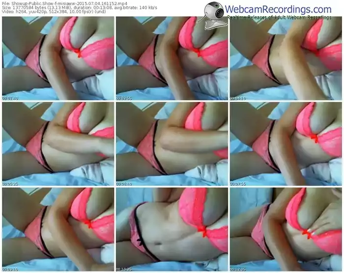 showup-misiaww-public-show-07_04_2015-16_11_52