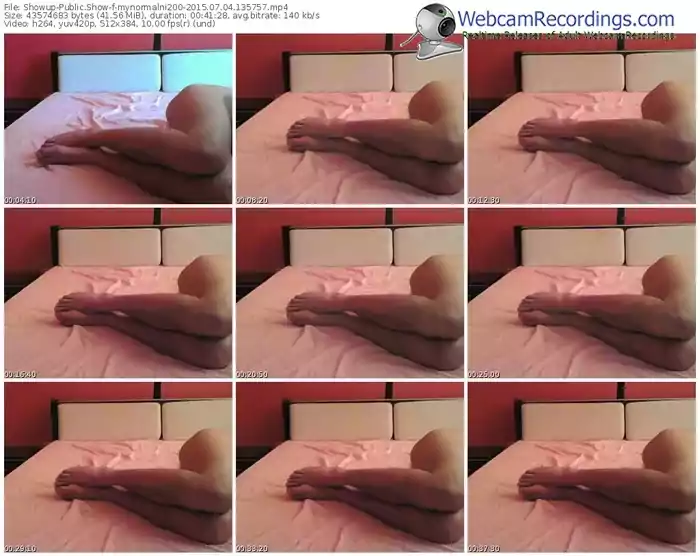 showup-mynormalni200-public-show-07_04_2015-13_57_57