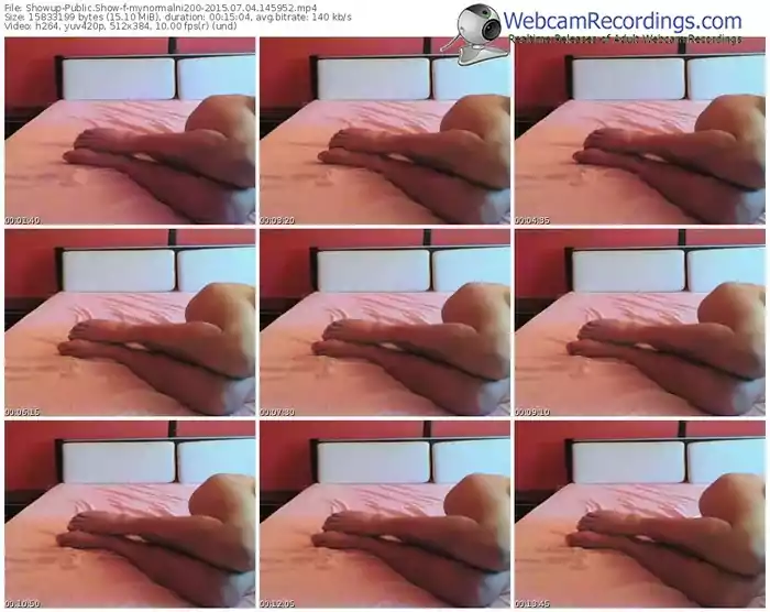 showup-mynormalni200-public-show-07_04_2015-14_59_52