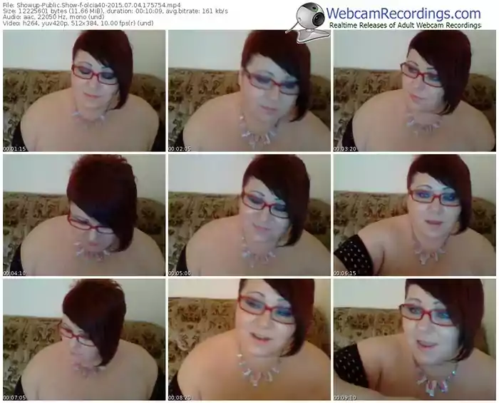 showup-olcia40-public-show-07_04_2015-17_57_54