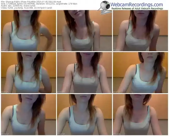 showup-nyettle-public-show-07_05_2015-00_11_55