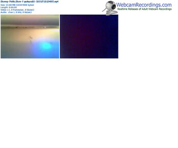 showup-parkacud01-public-show-07_05_2015-03_49_55