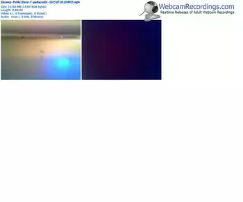 showup-parkacud01-public-show-07_05_2015-03_49_55