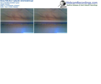 showup-parkacud01-public-show-07_05_2015-06_53_16