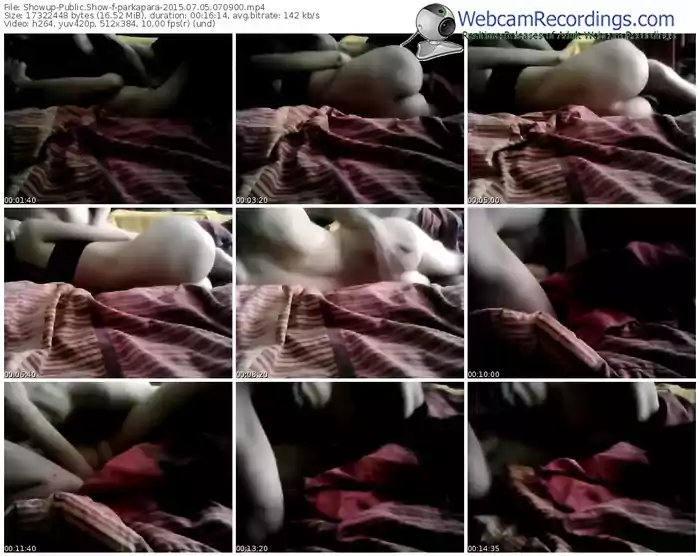 showup-parkapara-public-show-07_05_2015-07_09_00