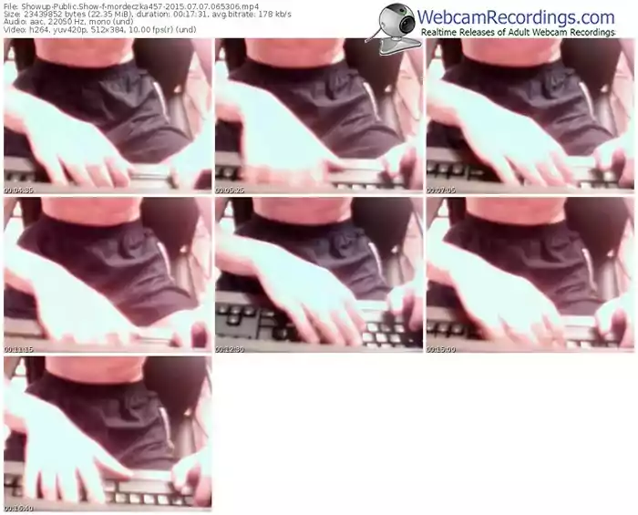 showup-mordeczka457-public-show-07_07_2015-06_53_06