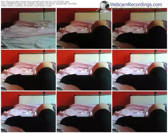 showup-mynormalni200-public-show-07_19_2015-18_15_01