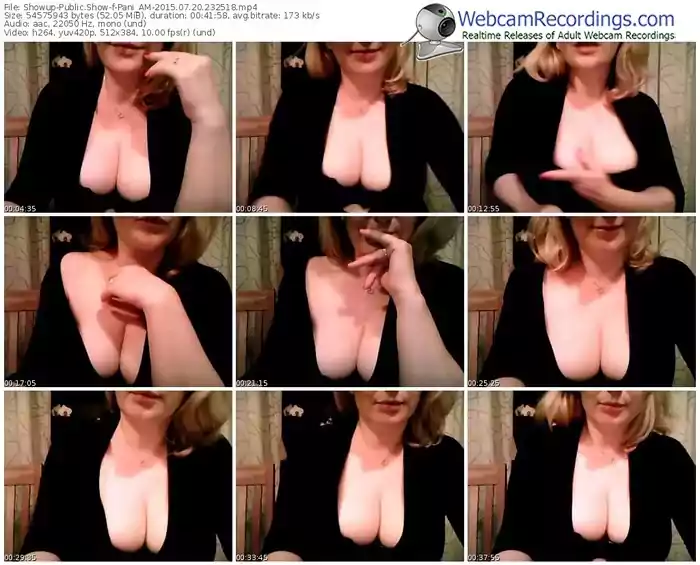 showup-pani_am-public-show-07_20_2015-23_25_18