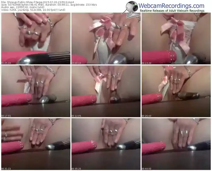 showup-taiga-public-show-07_20_2015-23_35_19