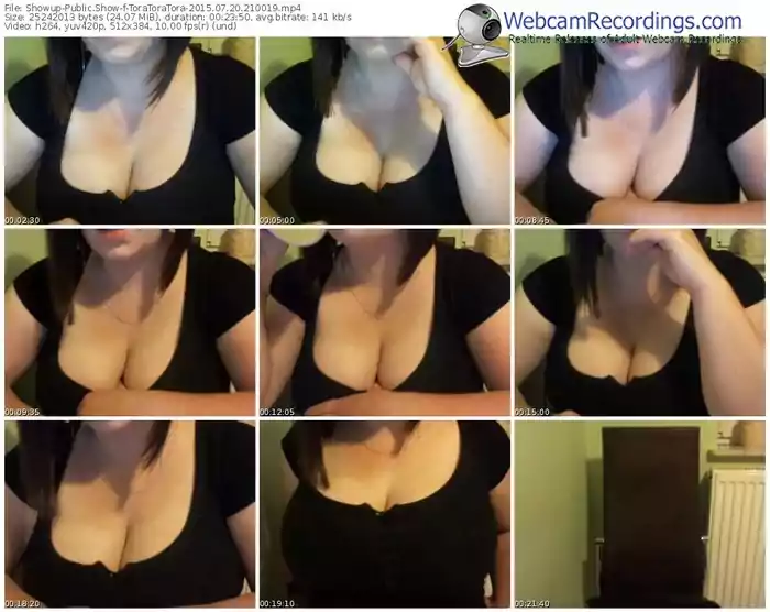 showup-toratoratora-public-show-07_20_2015-21_00_19