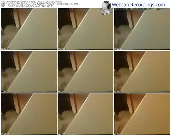 showup-blodi22-public-show-07_20_2015-16_50_29