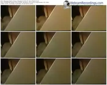 showup-blodi22-public-show-07_20_2015-17_50_29