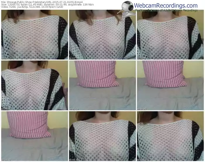 showup-sekretarygirl-public-show-07_21_2015-01_05_18