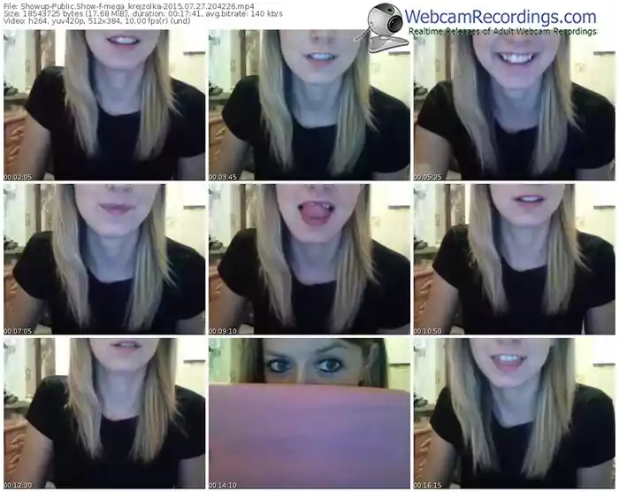 showup-mega_krejzolka-public-show-07_27_2015-20_42_26