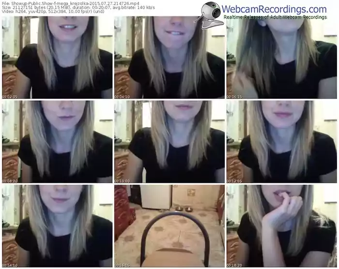 showup-mega_krejzolka-public-show-07_27_2015-21_47_26