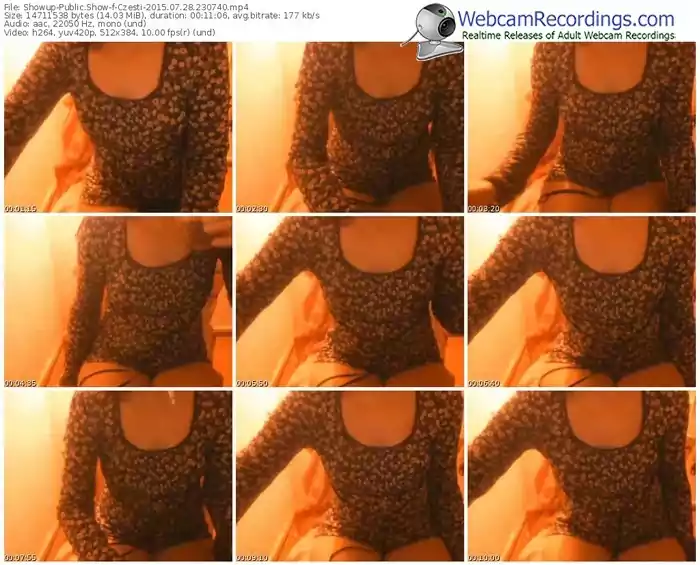 showup-czesti-public-show-07_28_2015-23_07_40