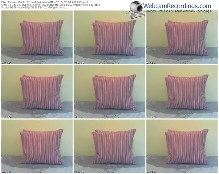 showup-sekretarygirl-public-show-07_28_2015-16_22_33