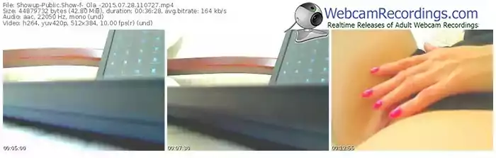 showup-_ola_-public-show-07_28_2015-11_07_27