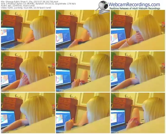 showup-_ola_-public-show-07_28_2015-19_17_36