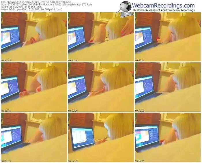 showup-_ola_-public-show-07_28_2015-20_27_38