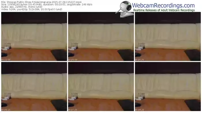 showup-niewinnazuzia-public-show-07_28_2015-11_52_27