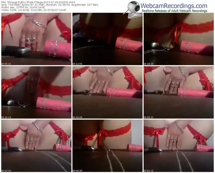 showup-taiga-public-show-07_29_2015-00_22_41