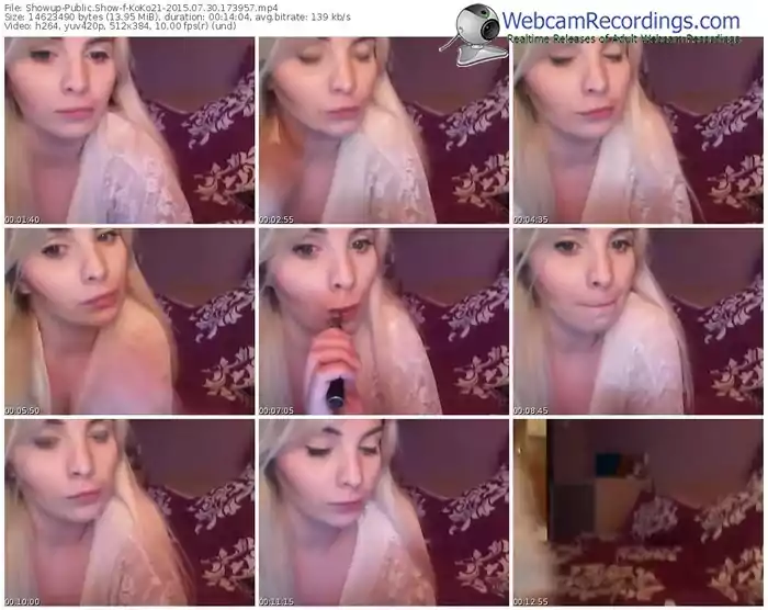 showup-koko21-public-show-07_30_2015-17_39_57