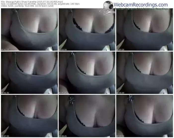 showup-anethe-public-show-07_30_2015-16_14_55