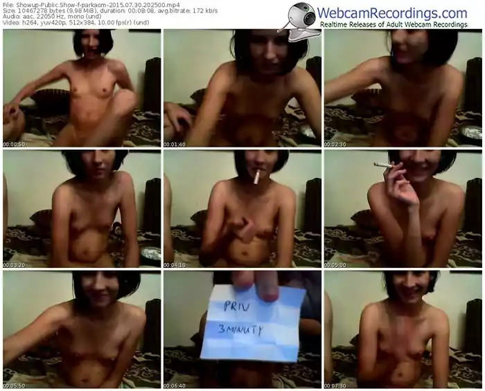 showup-parkaom-public-show-07_30_2015-20_25_00