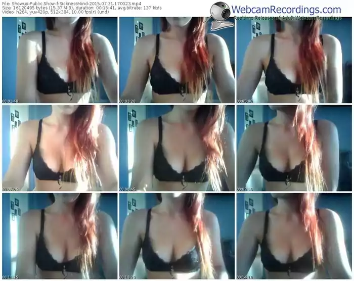 showup-sicknessmind-public-show-07_31_2015-17_00_23