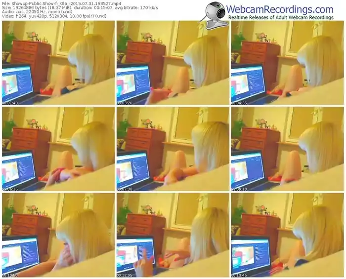 showup-_ola_-public-show-07_31_2015-19_35_27