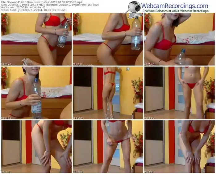 showup-slicznafest-public-show-07_31_2015-06_55_12