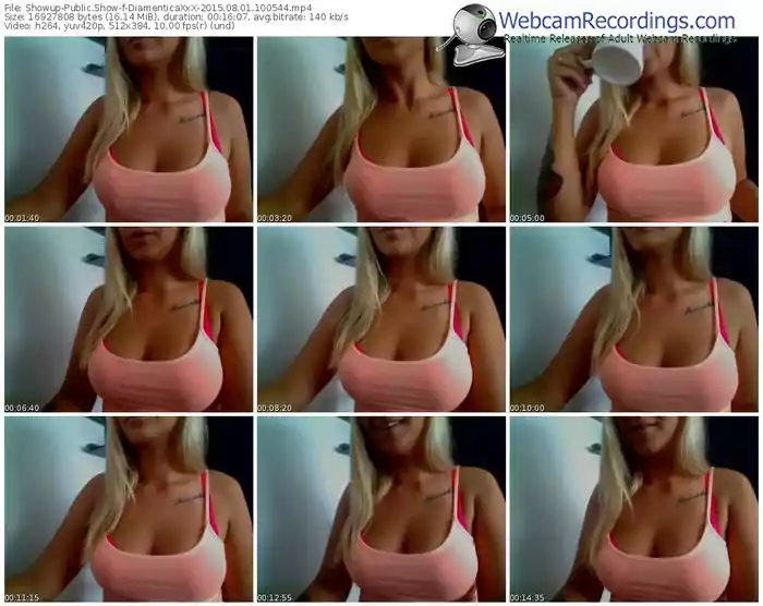 showup-diamenticaxxx-public-show-08_01_2015-10_05_44