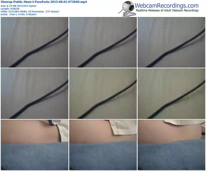 showup-paraparty-public-show-08_01_2015-07_20_40