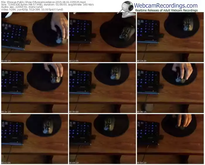 showup-russialovedance-public-show-08_01_2015-03_55_35