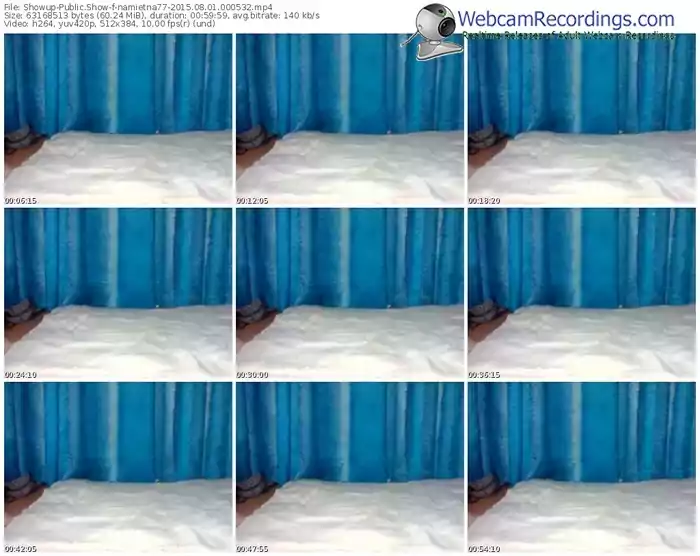 showup-namietna77-public-show-08_01_2015-00_05_32