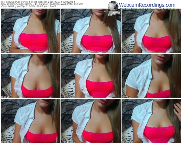 showup-sweet_eighteen-public-show-08_01_2015-09_20_42