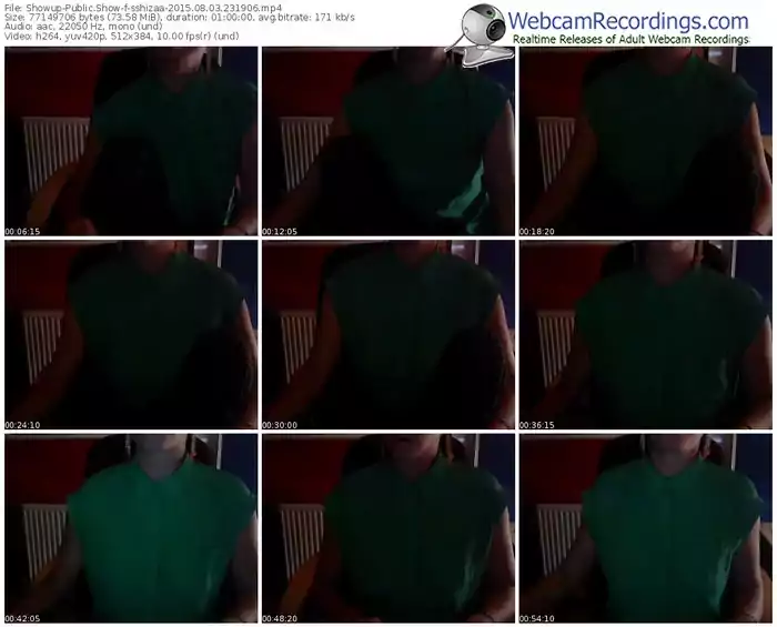 showup-sshizaa-public-show-08_03_2015-23_19_06