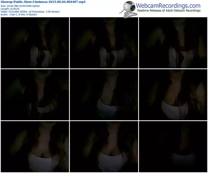 showup-hotmess-public-show-08_04_2015-00_44_07