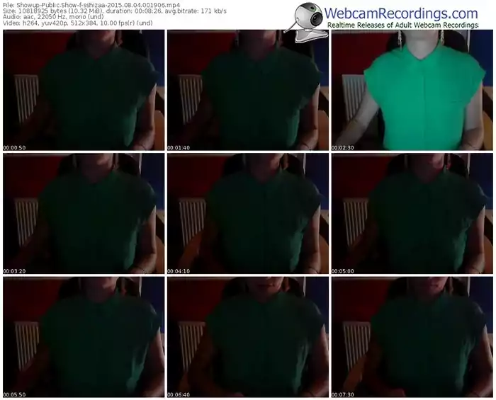 showup-sshizaa-public-show-08_04_2015-00_19_06
