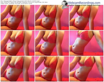 showup-sexykotek-public-show-08_07_2015-17_04_34