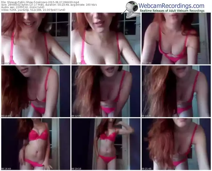 showup-malinovo-public-show-08_07_2015-09_44_33