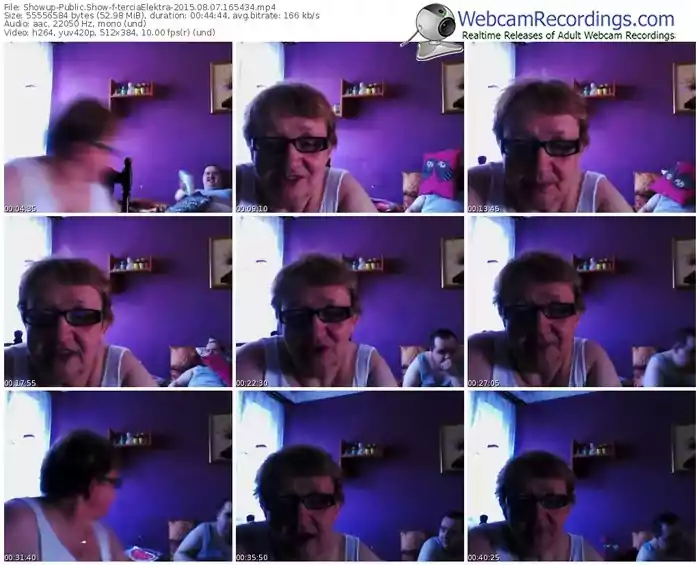 showup-terciaelektra-public-show-08_07_2015-16_54_34