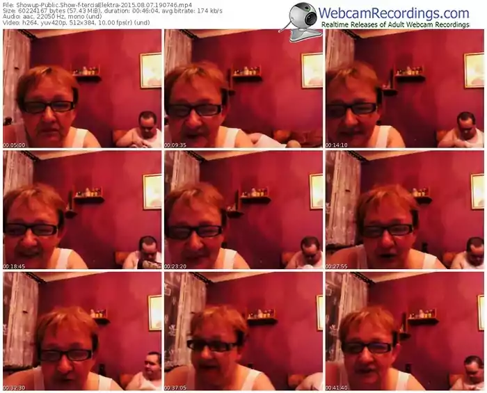 showup-terciaelektra-public-show-08_07_2015-19_07_46