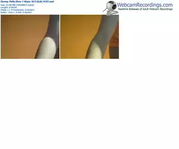 showup-mayte-public-show-08_08_2015-14_19_51