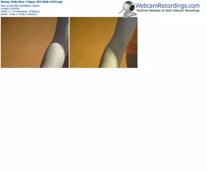 showup-mayte-public-show-08_08_2015-14_19_51