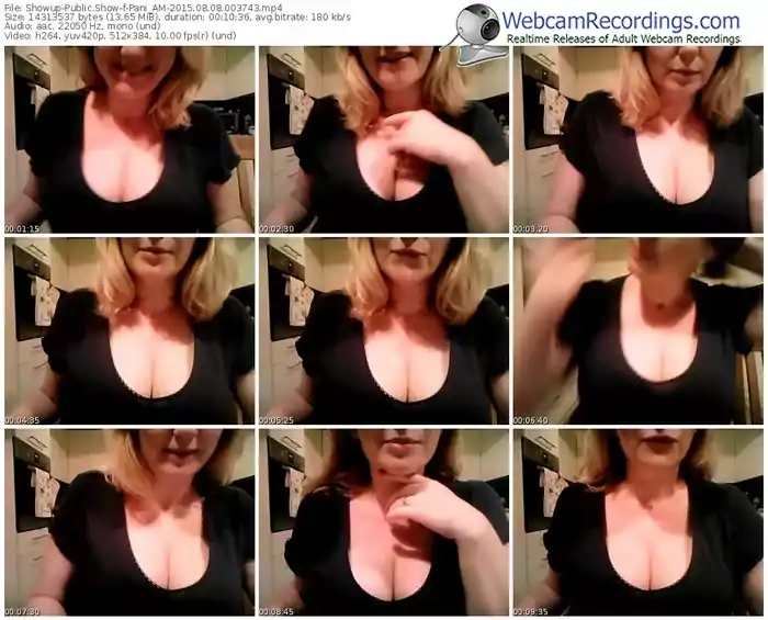 showup-pani_am-public-show-08_08_2015-00_37_43