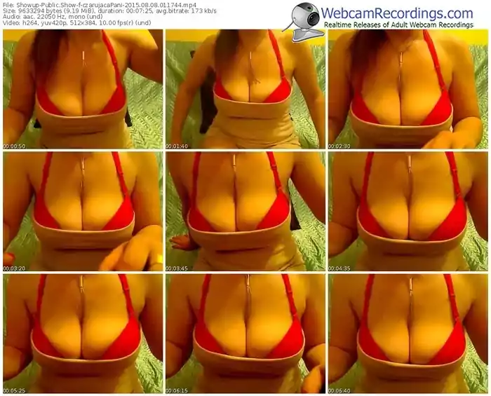 showup-czarujacapani-public-show-08_08_2015-01_17_44