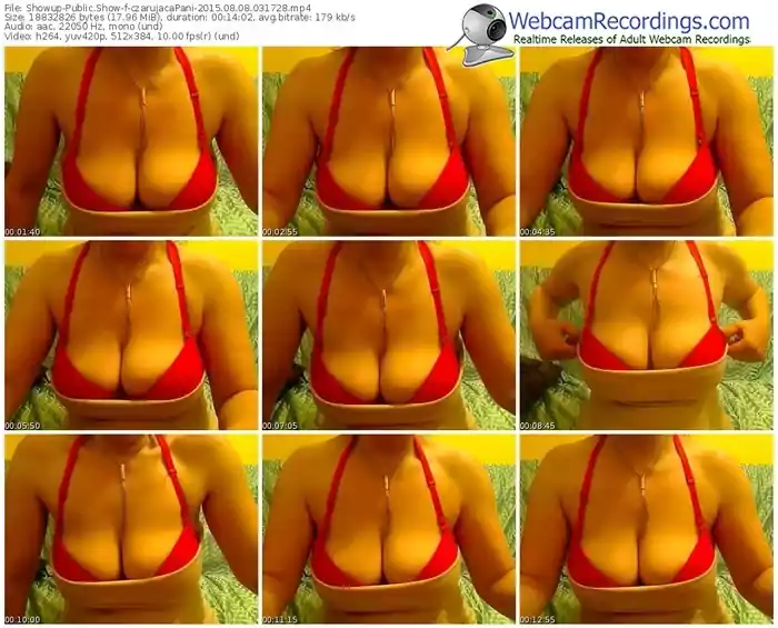 showup-czarujacapani-public-show-08_08_2015-03_17_28