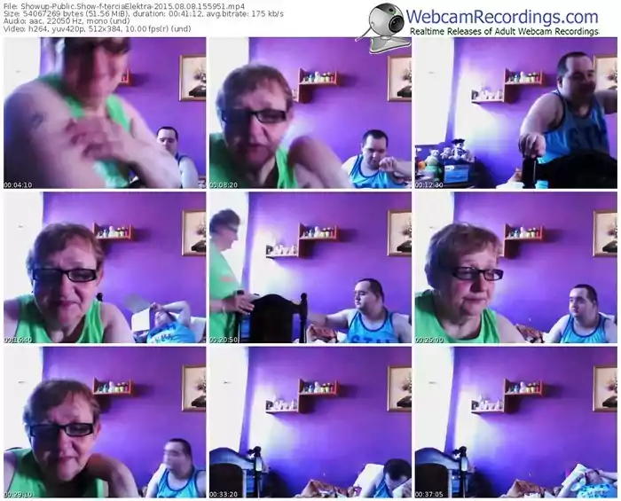 showup-terciaelektra-public-show-08_08_2015-15_59_51